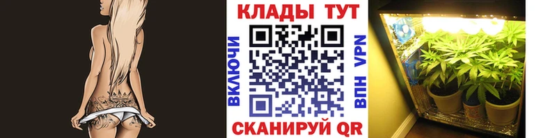 Альфа ПВП Пыть-Ях