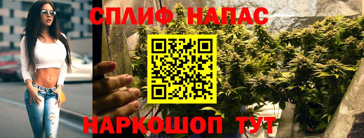 Пыть-Ях  Каннабис SATIVA & INDICA  Вход с VPN  Канабис LSD WEED  Каннабис THC 21%  Каннабис семена 